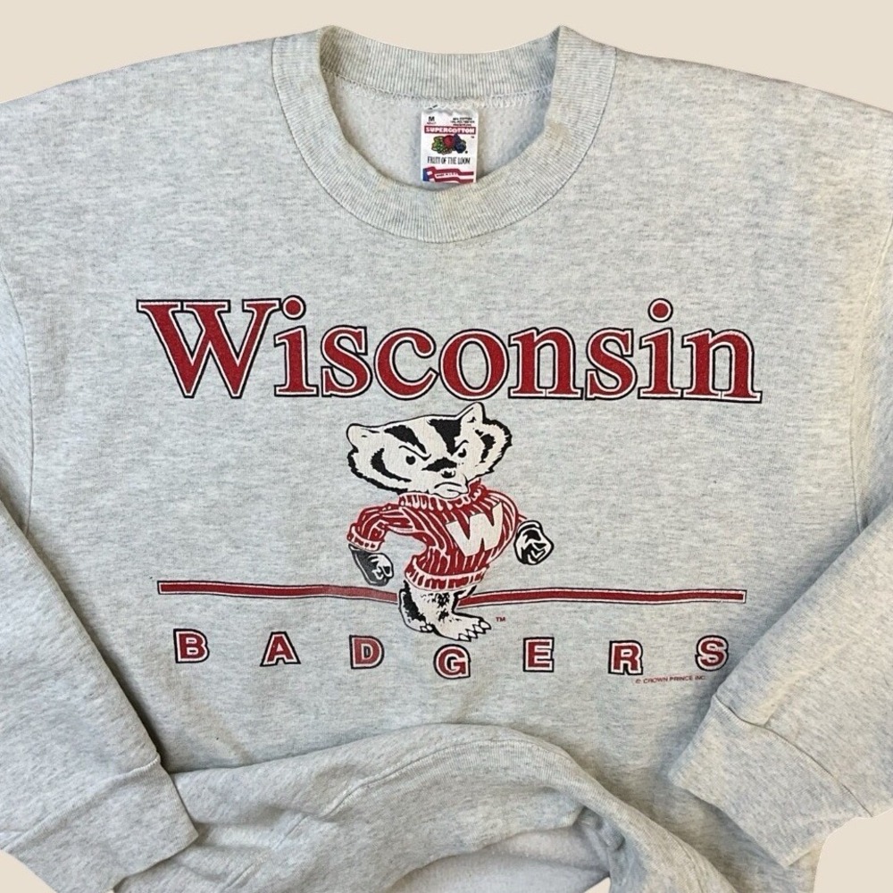 Fruit of the Loom Mens M Wisconsin Badgers‎ Sweatshirt Gray USA NCAA 80s Vintage